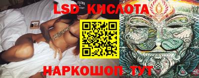 PSILOCYBIN Заволжье
