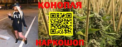 спиды Заводоуковск