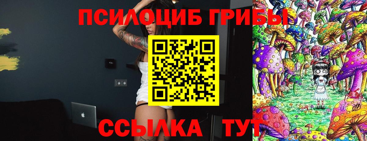 Воркута  Галлюциногенные грибы мицелий  Вход с VPN 