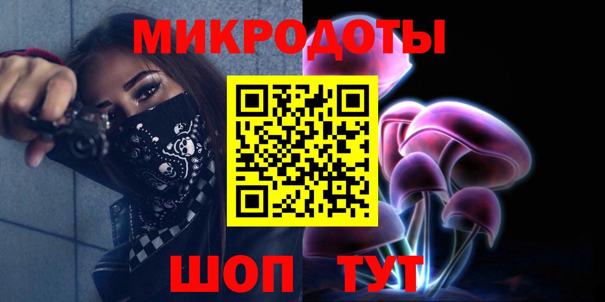 Псилоцибиновые грибы Psilocybine cubensis Воркута
